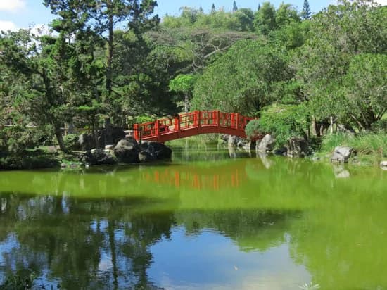 Gobierno anuncia construcción del Jardín Botánico de la Maguana en San Juan
