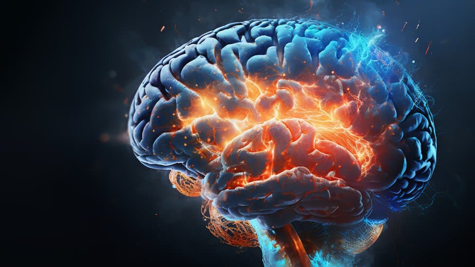 22 de julio: Día Mundial del Cerebro