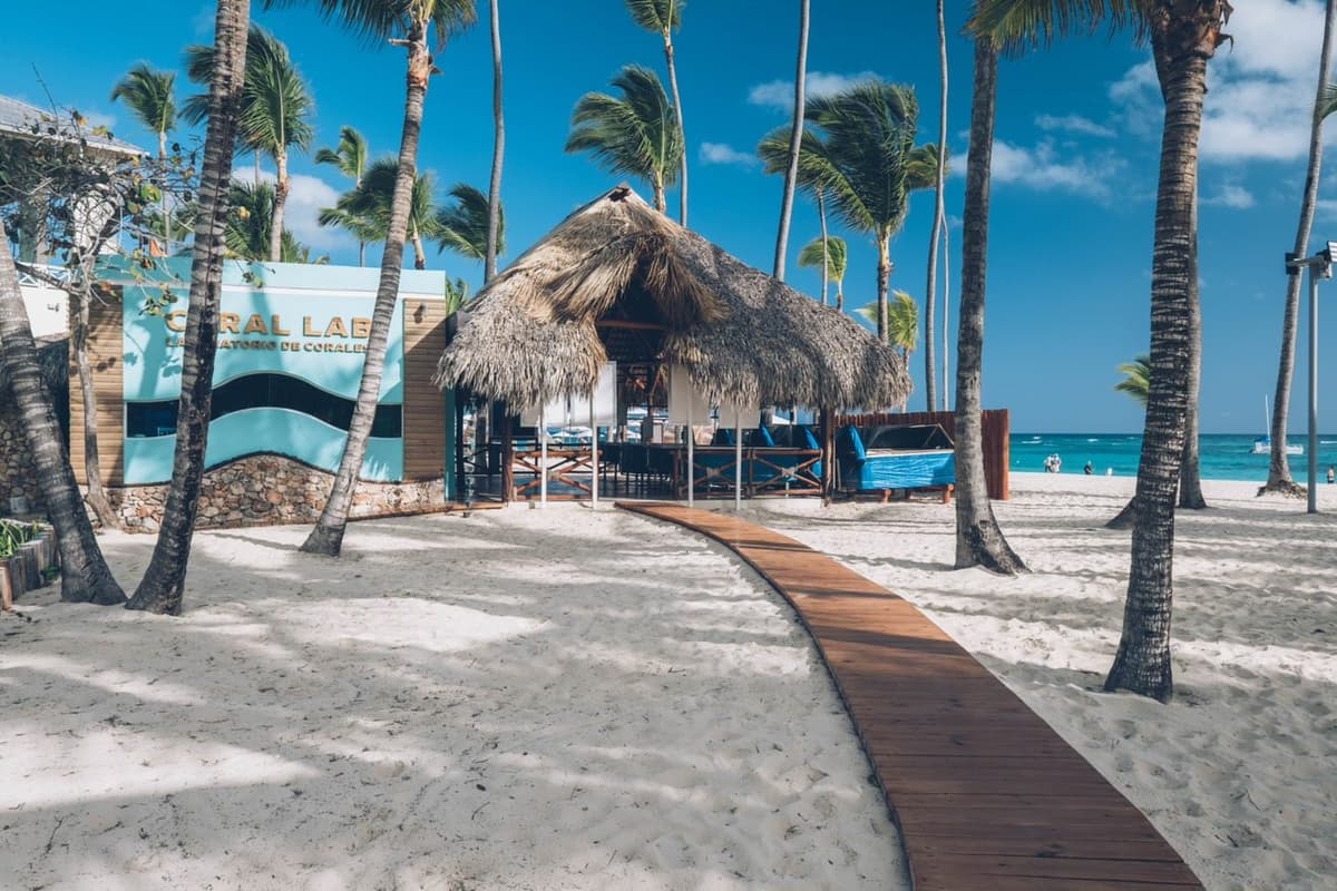 Iberostar apuesta por la ciencia para conservación y restauración de arrecifes de coral en RD