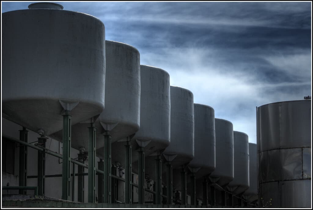 El 75% del olivar español produce ya a pérdidas: el aceite español está cambiando de forma radical y solo ahora empezamos a darnos cuenta