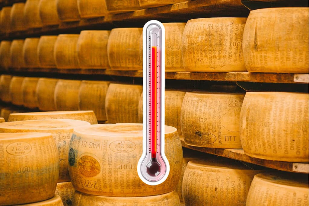 "No queremos ser la última generación en comerlo": el calor extremo ha puesto en peligro de extinción al queso parmesano