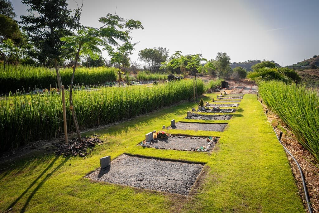 Cada vez tenemos más mascotas, así que en Málaga han hecho algo: el primer cementerio público para perros y gatos
