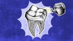 Los científicos que buscan que los dientes que perdemos vuelvan a crecer