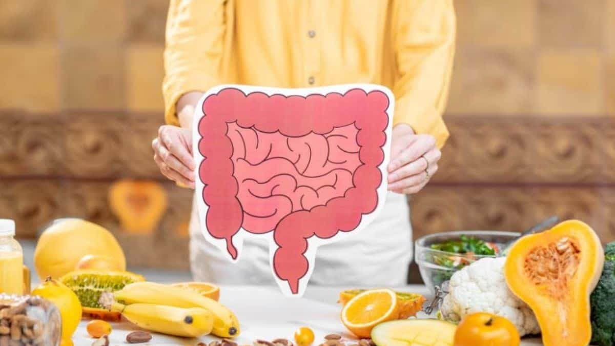 ¿Qué relación existe entre microbiota intestinal, alimentación y peso corporal?