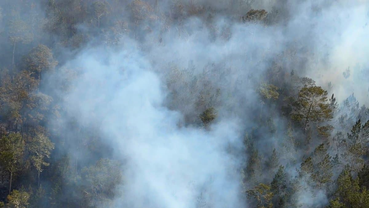 Desde el sábado, sigue activo incendio forestal en el Parque Nacional Sierra de Bahoruco