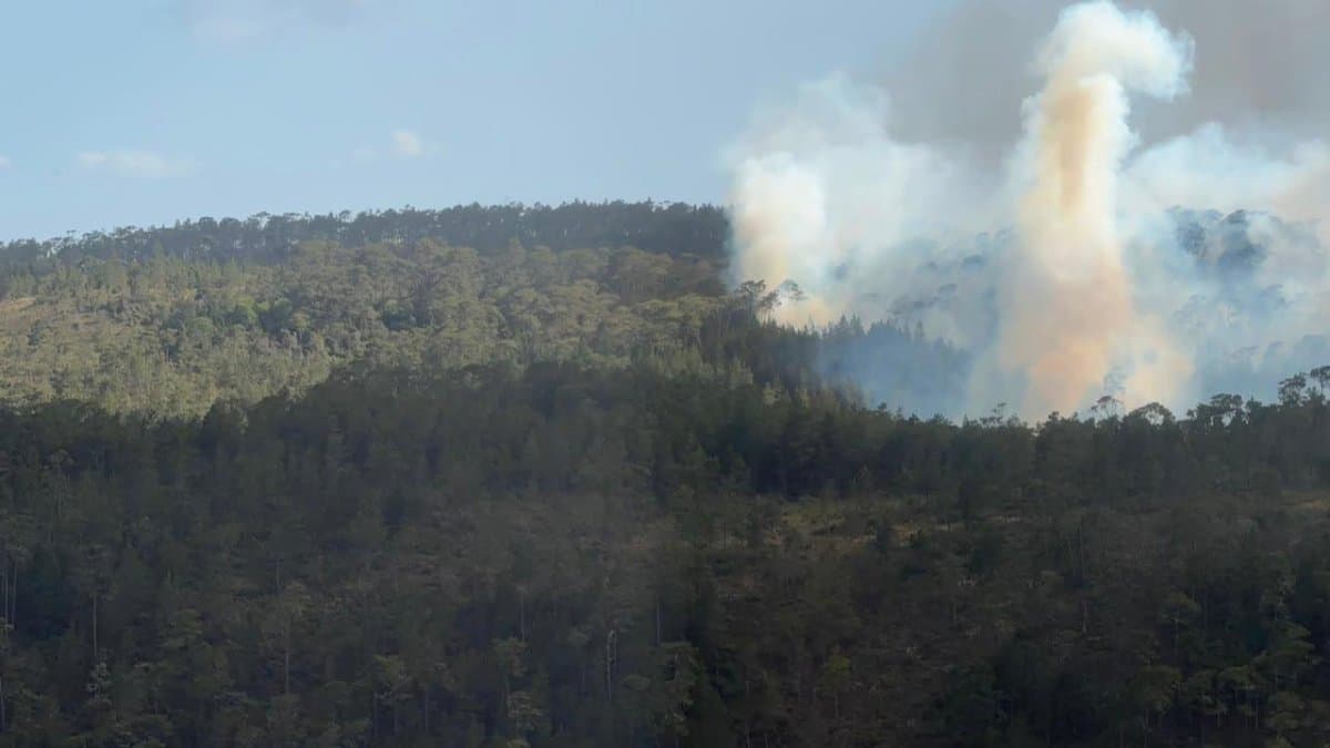 Incendio en Sierra de Bahoruco sigue activo desde el sábado; esperan controlarlo "en los próximos días"