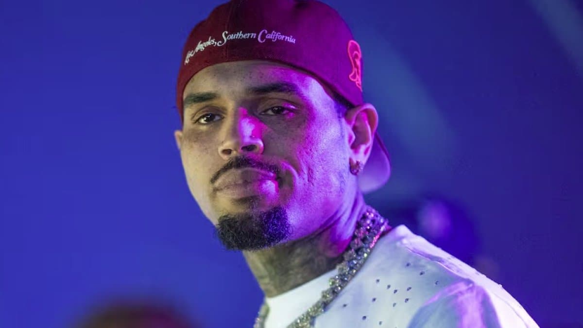 Chris Brown deberá pagar US$13 millones a una mujer tras brutal ataque de uno de sus perros