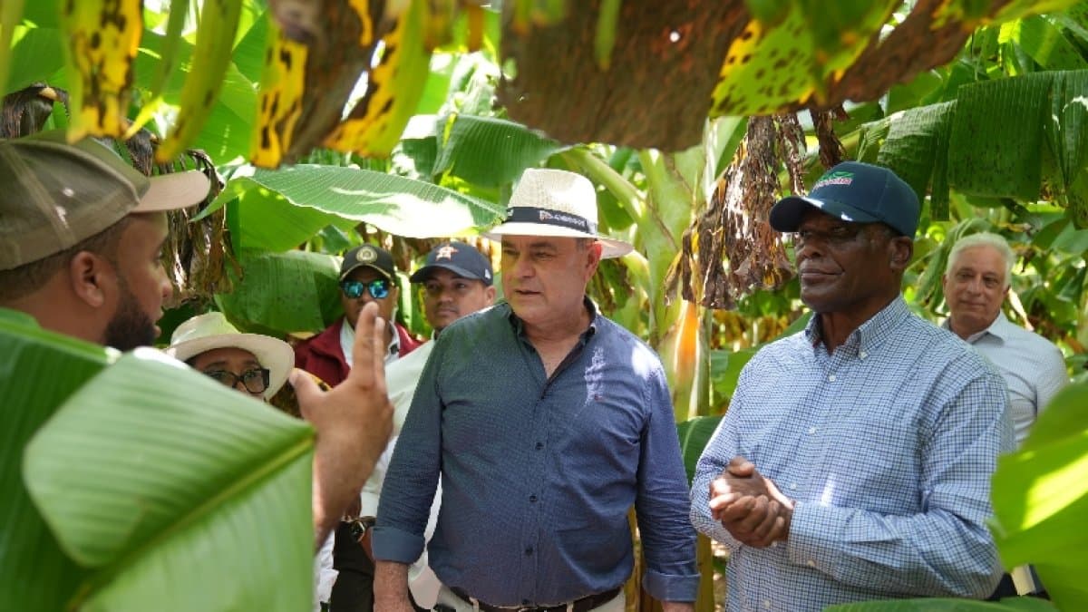 Rehabilitará proyecto agrícola Valle Juancho, con unas 80 mil tareas
