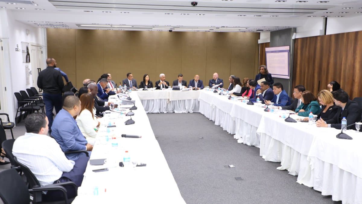 Código Penal: ¿Cómo avanza el análisis de los artículos que serán modificados?