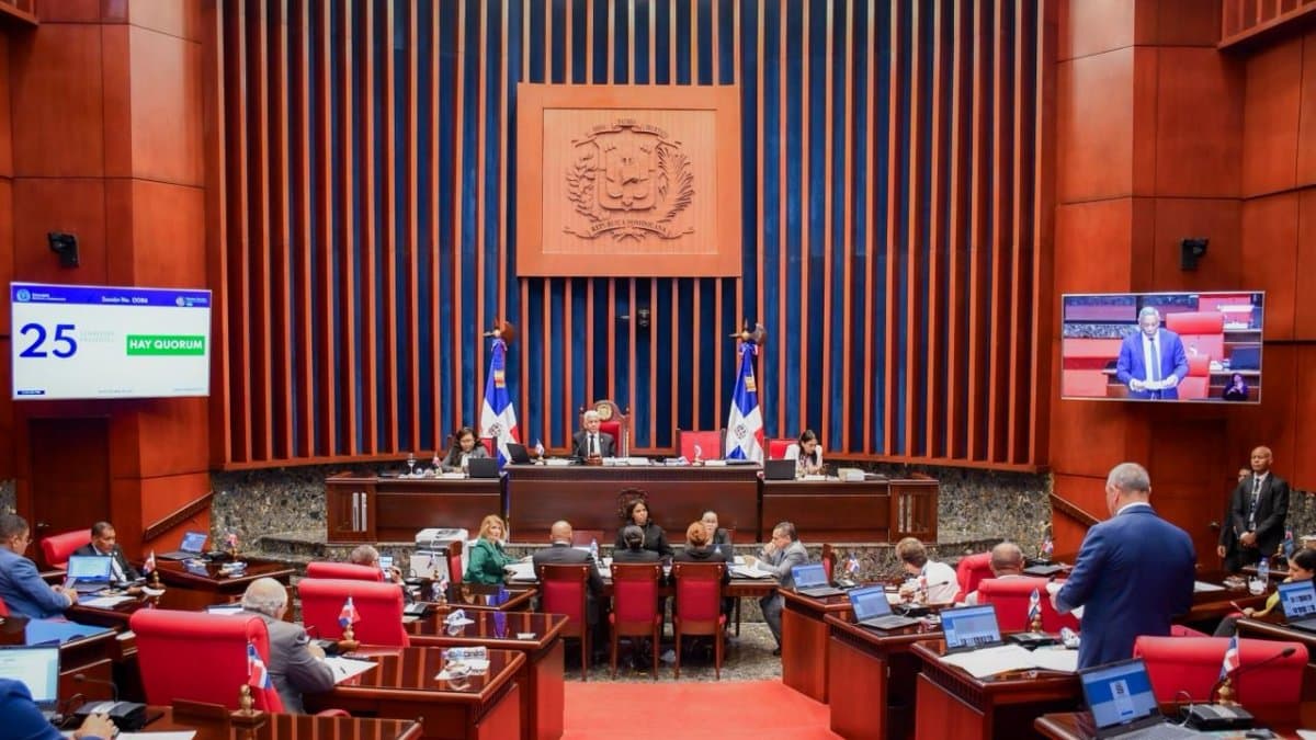 Senado rechaza propuestas de Omar Fernández para reforzar libertad de expresión en nuevo Código Penal