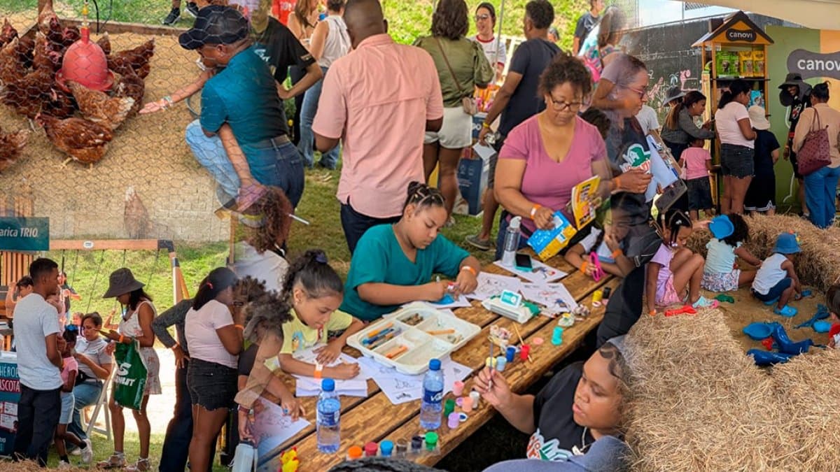 Una granja en Santo Domingo: animales, juegos y aprendizaje para toda la familia