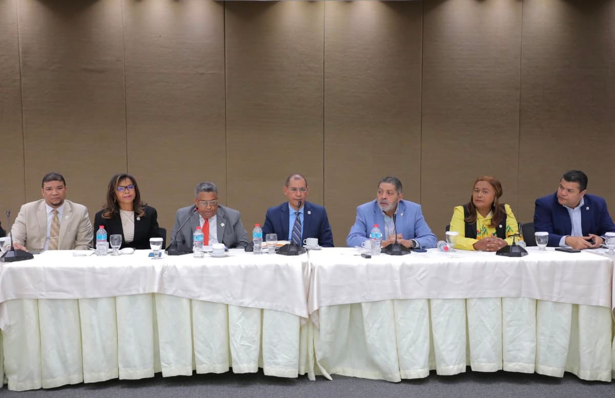 ICPARD expone observaciones a proyecto de ley propone crear Colegio de Contadores Públicos Autorizados