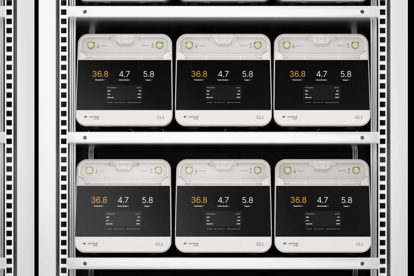 Cortical Labs presenta centros de datos con neuronas humanas para reducir el costo energético de la IA