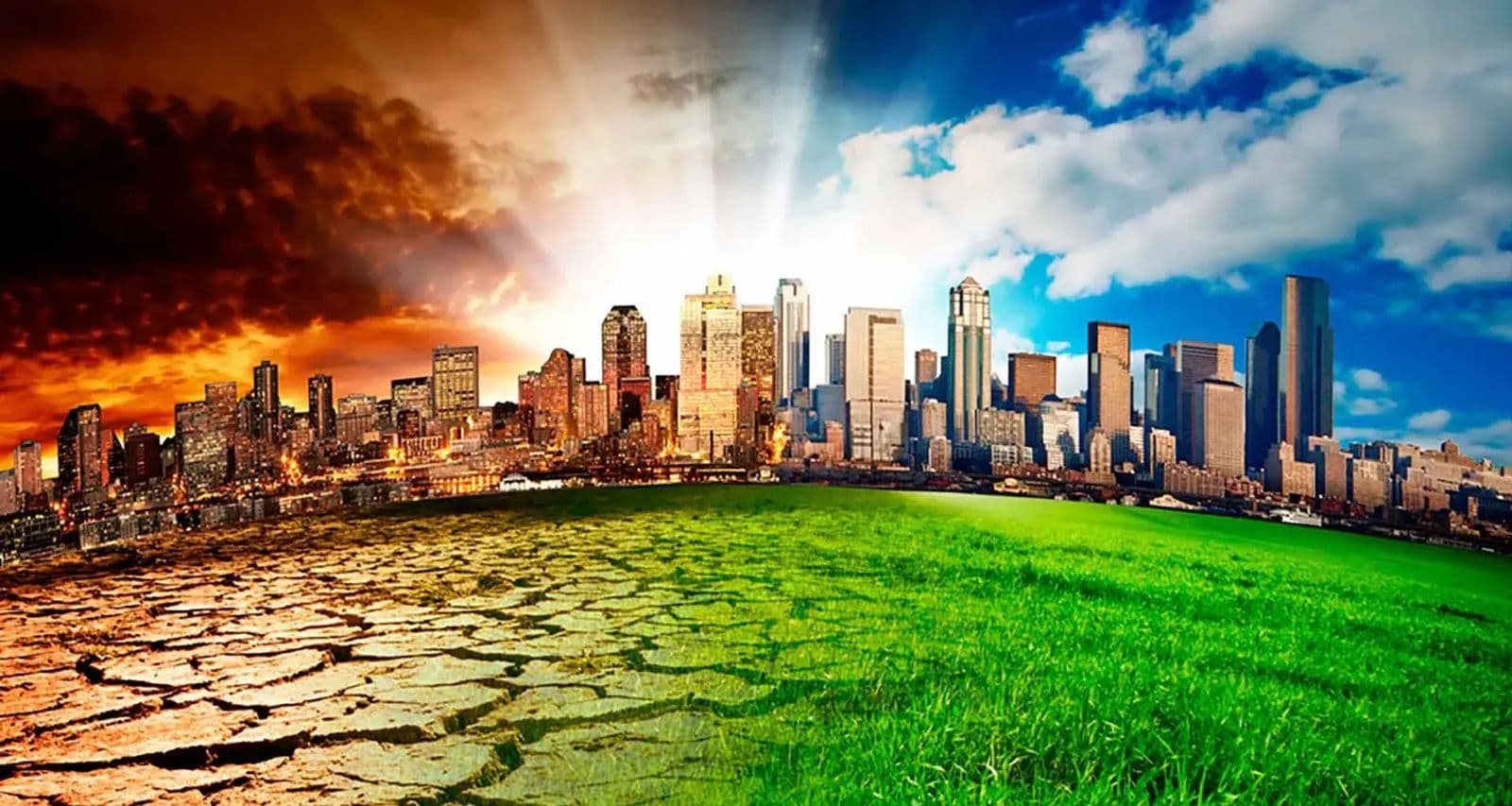 Científicos hallan casi 166.000 km² de arrecifes con potencial para resistir el cambio climático