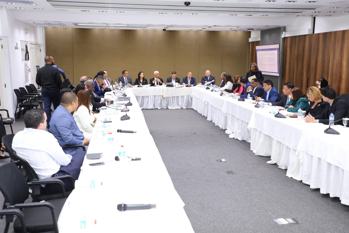 Comisión Bicameral que estudia nuevo Código Penal analizó casi la totalidad de los artículos que requieren modificaciones