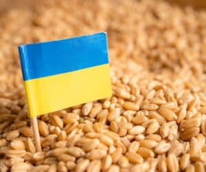 Ucrania busca salidas al bloqueo de sus puertos, que asfixia sus exportaciones de cereales
