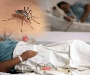 Dengue suma 11 casos en una semana y llega a 213 contagios en 2026