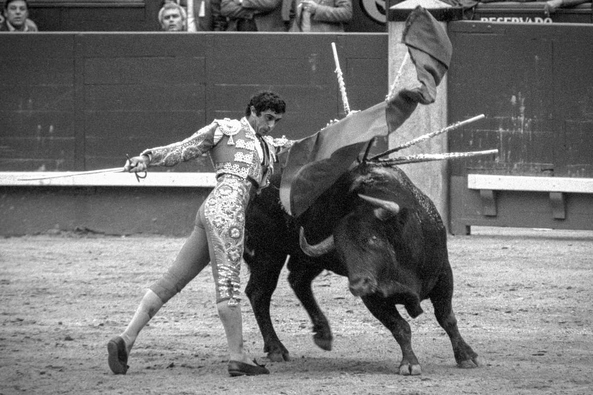 Tomás Campuzano: "Si no hubiera sido por el toreo, ahora estaría cuidando ovejas"