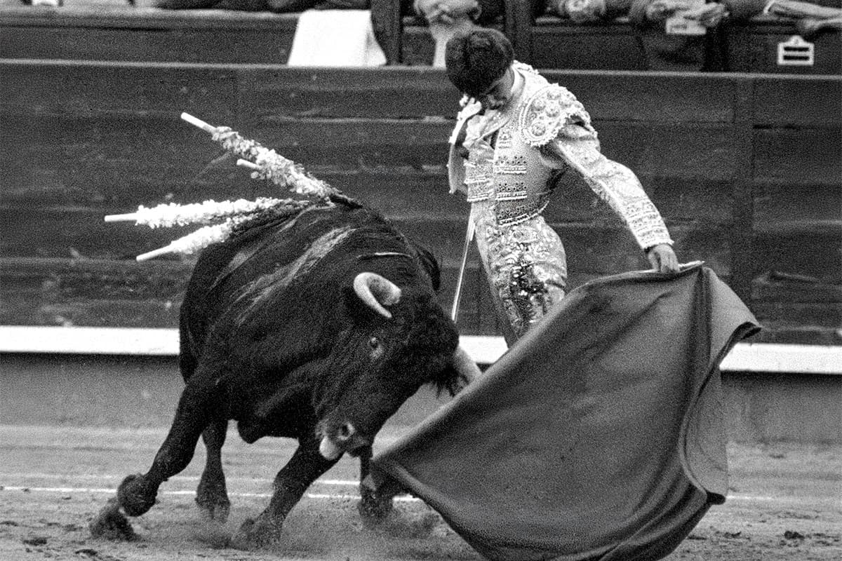 El Niño de la Taurina: "¡Joder, parece que yo no he sido de la Escuela de Madrid!"