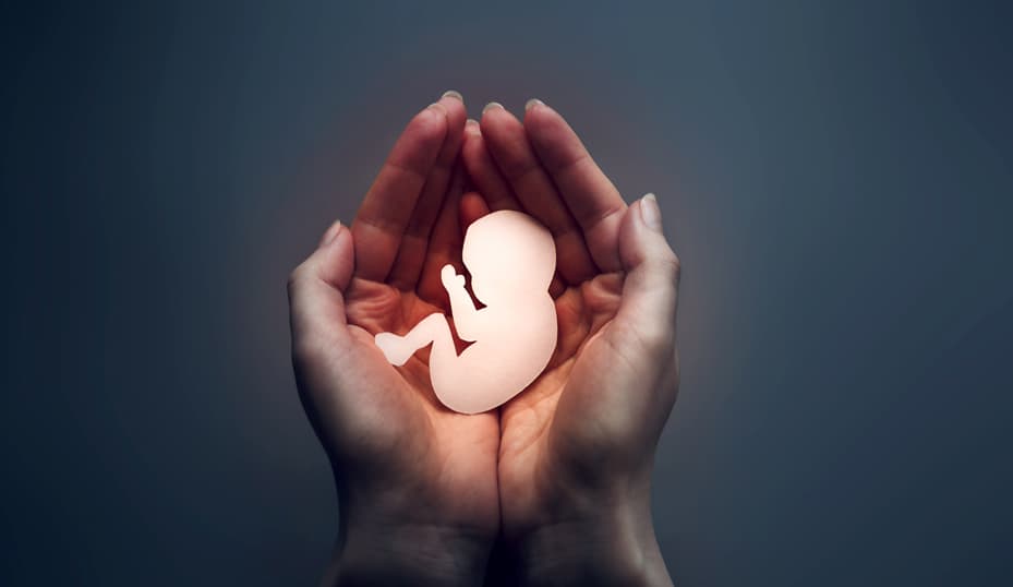 Discusión por causales del aborto en Código Penal es debate estéril, afirma jurista