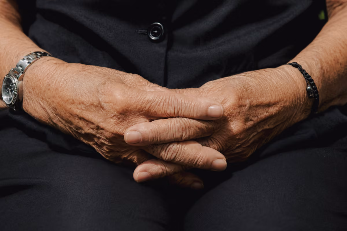 Estudio de Pucmm vincula microbiota intestinal con riesgo de deterioro cognitivo