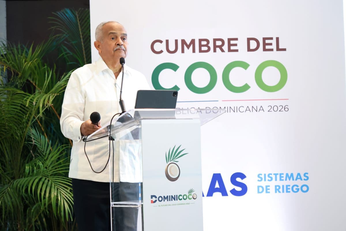 Demanda de coco en el país crece 10% anual, y la producción solo 2%
