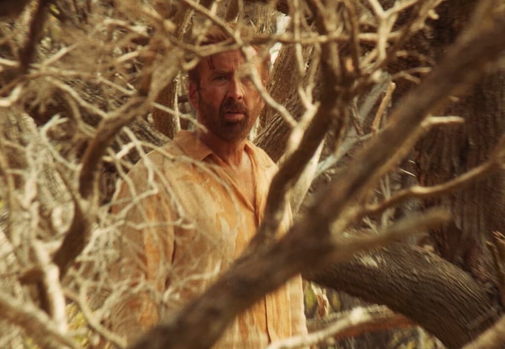 Mañana llega a Prime Video una de las películas más increiblemente extrañas del último Nicolas Cage