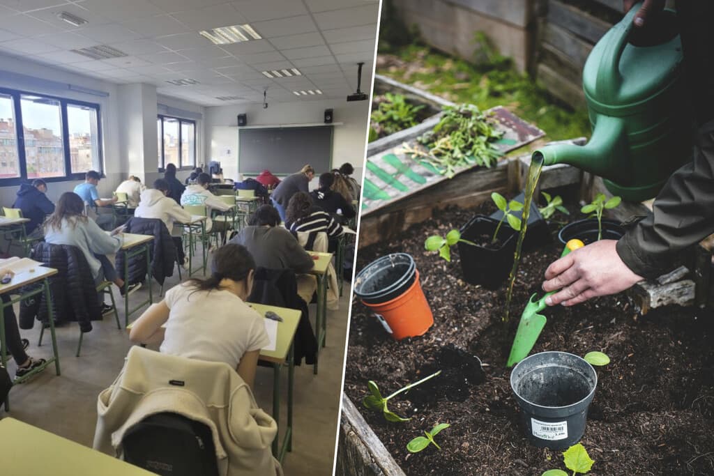 Los estudiantes de la PAU se han obsesionado con la FP de Jardinería. En realidad tiene todo el sentido