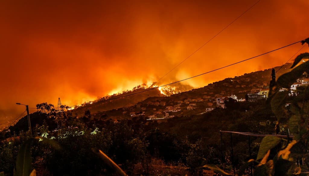 Un experto forestal tiene claro el problema de España: "Hemos acumulado combustible y aumentado la probabilidad de incendios extremos"