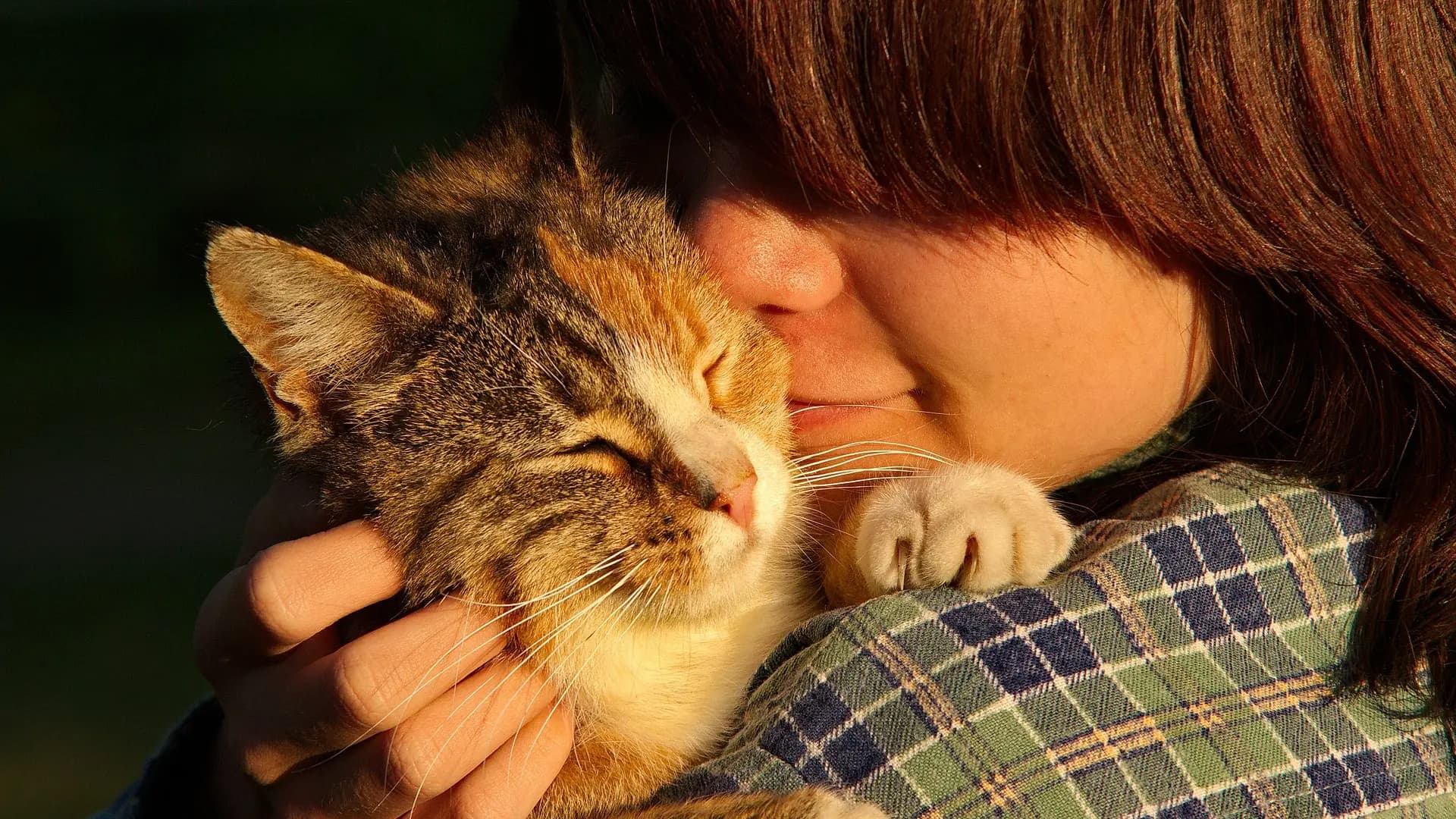 Convivir con gatos no empeora el asma infantil ni aumenta las crisis, según un estudio sueco en 30.000 niños