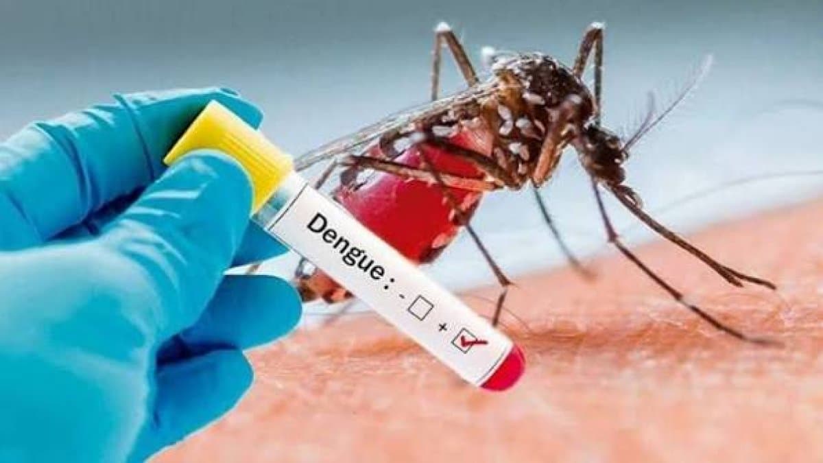 Dengue, leptospirosis y tosferina se multiplican respecto a 2025 para esta fecha