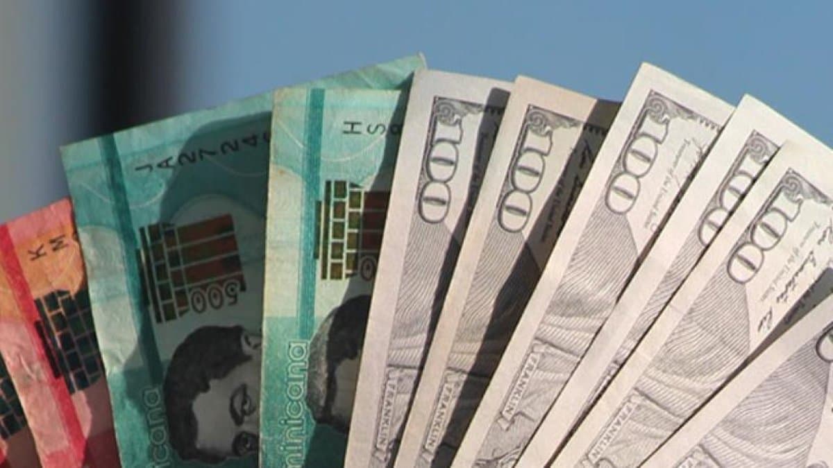 Dólar hoy: tasas de compra y venta actualizadas para este 20 de julio 2026