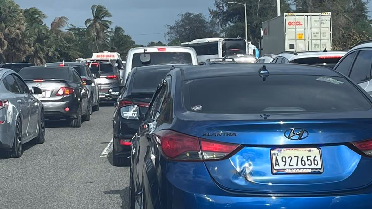 Caída de un árbol genera severo congestionamiento en la autopista Las Américas