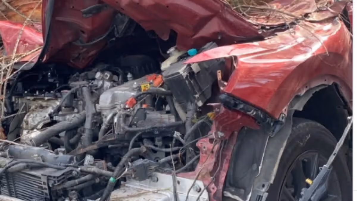 Cuatro heridos y tránsito obstruido por caída de árbol en la autopista Las Américas