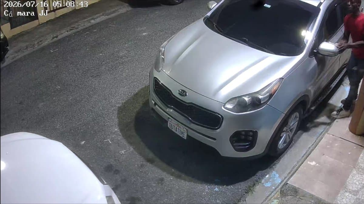 "¡Un ladrón!": queda captado en cámara robo de retrovisores en Villa Mella