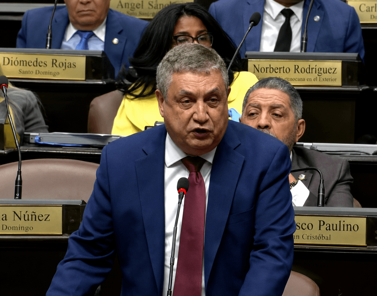 PLD anuncia que votará en contra de la reforma al Código Penal por condenar a “las madres pobres”