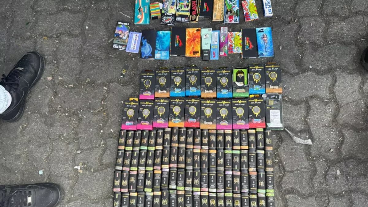 DNCD incauta 100 cigarrillos electrónicos con presumiblemente marihuana en el puerto de Haina