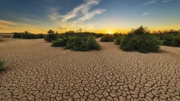 Cambio climático agrava las sequías en Europa, revela estudio
