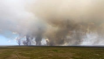 Nuevo incendio en los Everglades se suma a ola de siniestros ante calor y sequía en EE. UU.