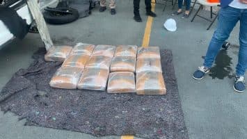 DNCD ocupa 129 libras de marihuana en Azua; dos personas fueron arrestadas