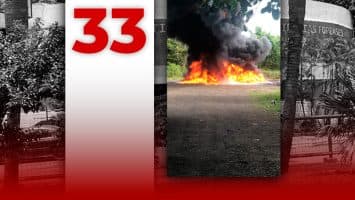 Inacif destruye más de 33 toneladas de drogas incautadas durante el primer semestre de 2026