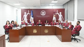 TC marca un hito al conocer 21 acciones directas de inconstitucionalidad en una sola audiencia pública