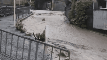 (VIDEO) La tormenta tropical Mekkhala causa daños y cancela más de 200 vuelos en Japón