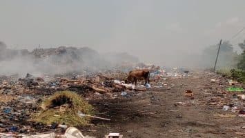 Residentes de Sánchez, Samaná, denuncian contaminación por vertedero a cielo abierto y exigen solución urgente