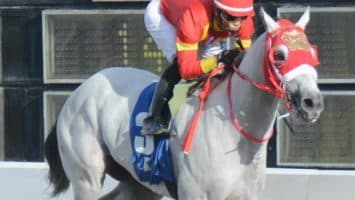 Disputarán el sábado el Clásico Velocidad en Hipódromo Quinto Centenario