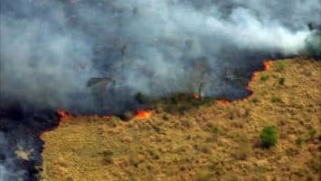Incendio forestal en parque natural cubre de humo la ciudad colombiana de Barranquilla