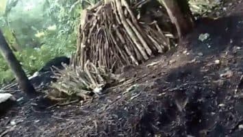 Comunitarios denuncian presunta carbonera clandestina y alegan amenazas en Mata Gorda