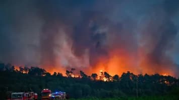 Al menos 200 bomberos combaten incendio forestal de grandes proporciones en el sur francés