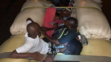 Ejército descubre 10 haitianos ilegales ocultos en una carga de arroz en camión en Montecristi