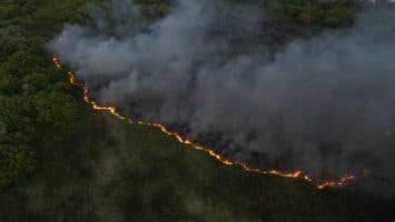 (VIDEO) Incendio forestal afecta amplia zona de la Laguna Mallén, en San Pedro de Macorís
